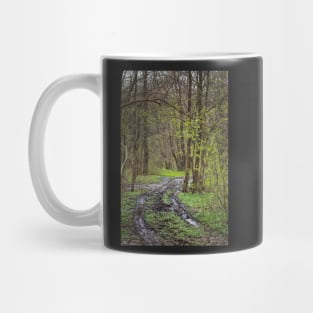 Hiking trail in the forest Mug